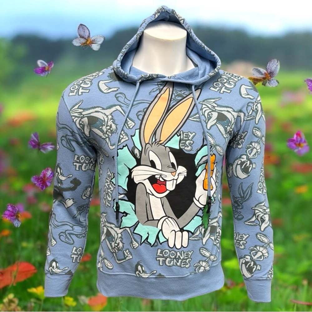 Looney Tunes Bugs Bunny Taz Daffy Duck Marvin Martian Blue Hoodie Size X-Small
